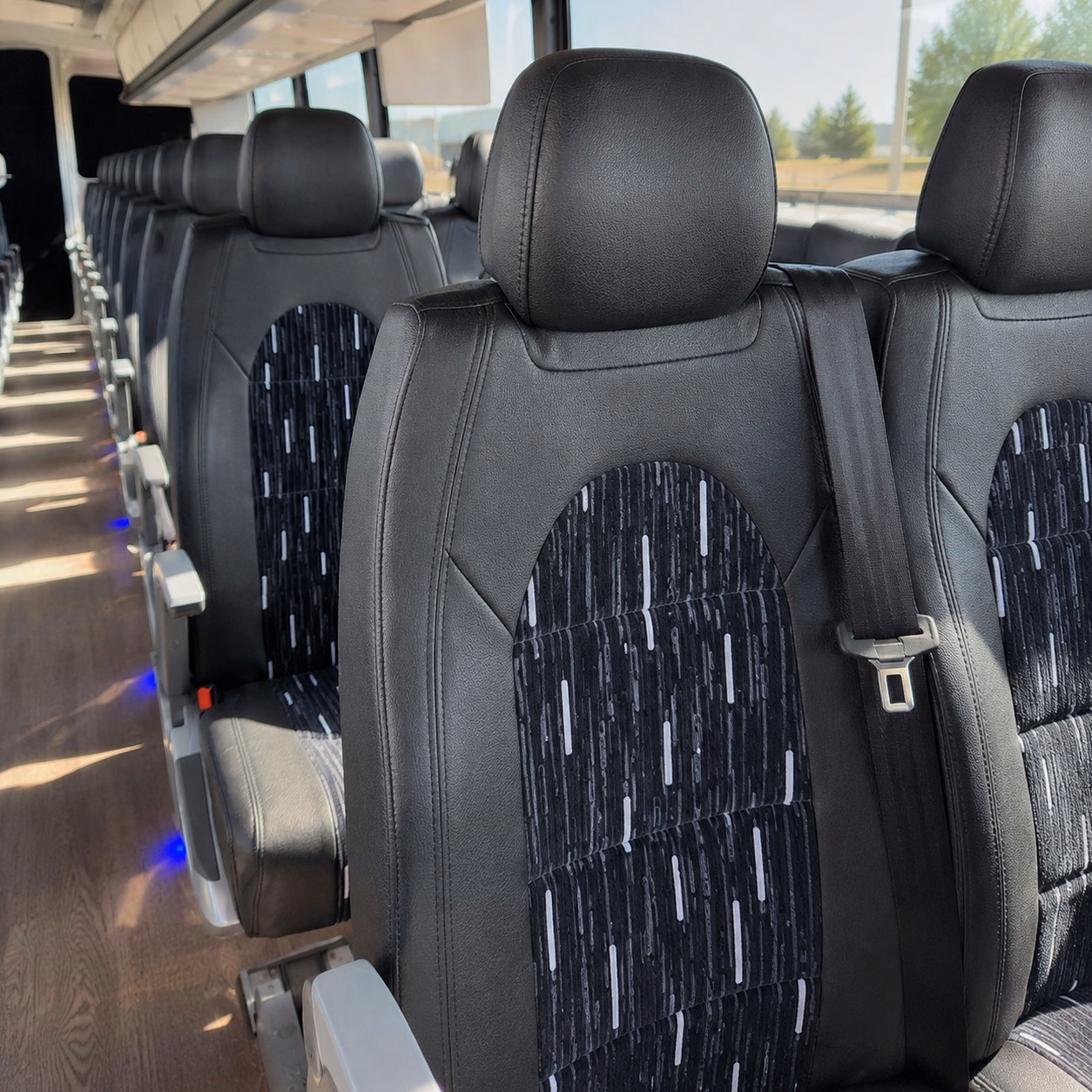 compare buses in minutes not days